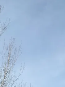 遥指远方