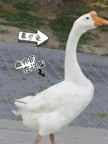 我是一只鹅