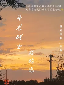 斗龙战士：我的光