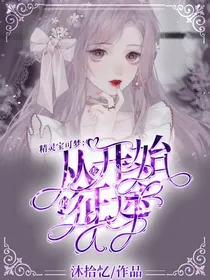 精灵宝可梦：零开始的征途