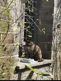 看过海