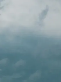 题林壁