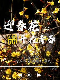 迎春花开在青春