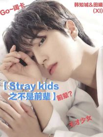 Straykids之不是前辈