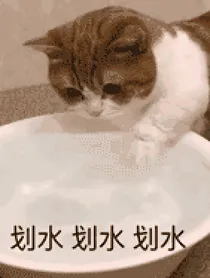 第五日常……