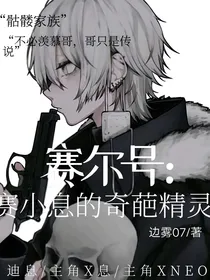 赛尔号之赛小息的奇葩精灵