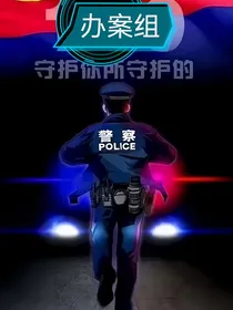 办案组