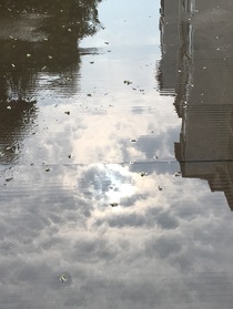 逯林