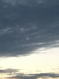 弟弟组的马甲又双叒叕掉了！