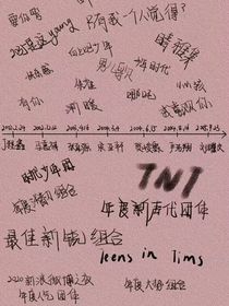 TNT音乐节