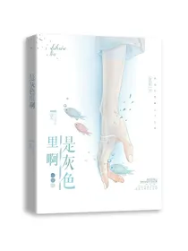 是灰色里啊