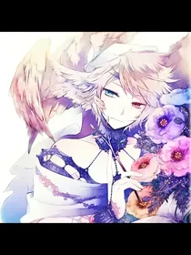 怪物大师之折翼的天使