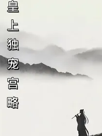 皇上独宠宫略