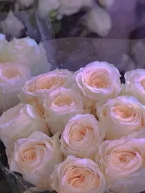 花开的雨季节