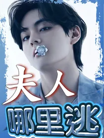 BTS夫人哪里逃