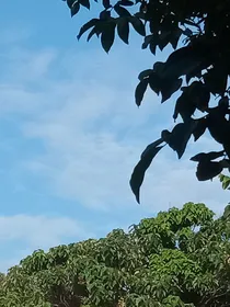 快穿……兽人