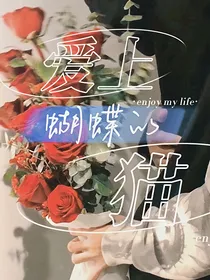 爱上蝴蝶的猫
