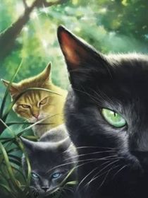 猫武士CP