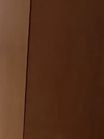 和弟控姐姐生活