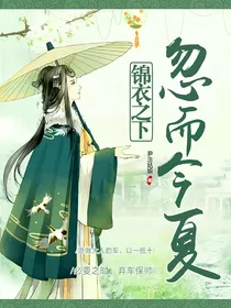 锦衣之下：忽而今夏