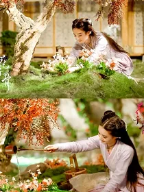 花千骨之（姐妹情深）