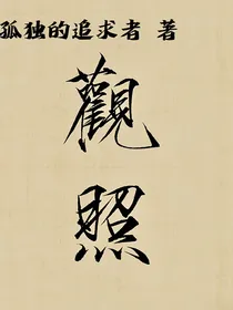 观照