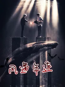 风遇年连