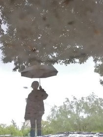 落叶听风雨