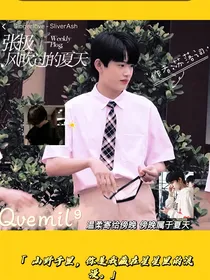 张极：风吹过的夏天