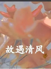 故遇清风