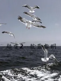 超变2——靛蓝黎明