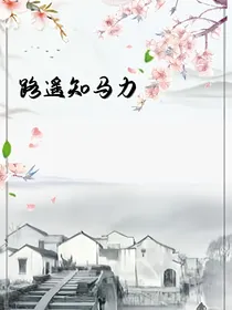 综影视：路遥知马力