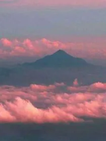 综影视：君心入我心