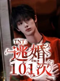 TNT：逃婚101次