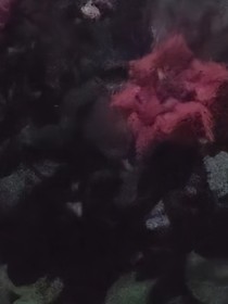 我的作品秒变他老婆