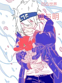 凹凸世界：暗与明