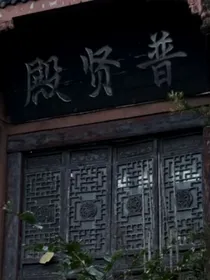 忠徒