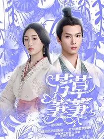 星汉灿烂：芳草萋萋