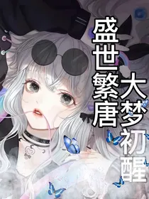 盛世繁唐，大梦初醒