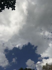 校霸女友和乖乖小奶狗