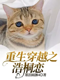 重生穿越之浩桐恋