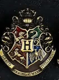 HP：莫名单挑两代黑魔王