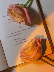要我一女的攻略女主？！