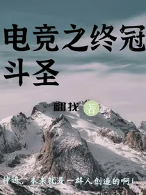 电竞之终冠斗圣
