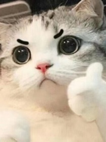已无题