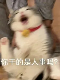 关于我穿书这事