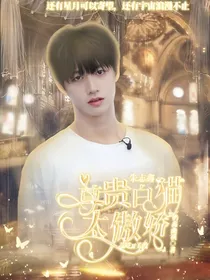 朱志鑫：尊贵白猫太傲娇