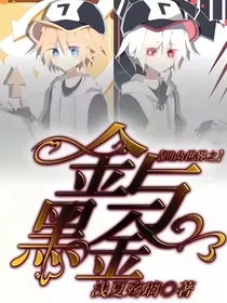 凹凸世界：金与黑金