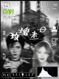 朱志鑫：玫瑰末日