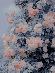 落日朝阳……